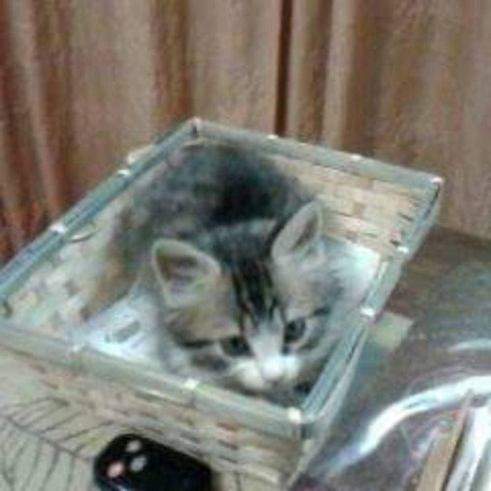 Meet your Posher, Graciela